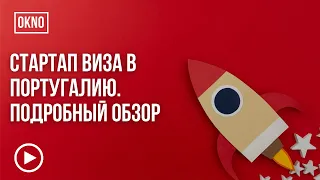 Стартап виза в Португалию. Подробный обзор