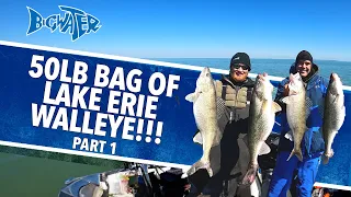 We Caught a 50lb Bag of Lake Erie Walleye Part One