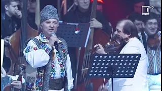 Nicolae Glib - Foicica Foicea