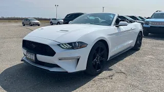 2019 Ford Mustang EcoBoost Convertible: Start Up, Exterior, Interior & Full Review