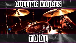 Drumless: Culling Voices - Tool