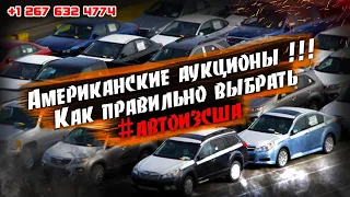 Как правильно выбрать автомобиль на страховом аукционе? Автомобили из США -есть ли заработок сейчас?