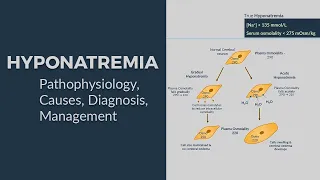 Hyponatremia - Pathophysiology, Causes, Diagnostic Approach & Management 😊 (All-in-One Package) 😊