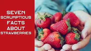 Seven Scrumptious Facts About Strawberries I Strawberries are tasty I similar taste to pineapples