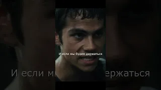 Мы выберемся сейчас, или мы покойники! - Бегущий в лабиринте (The Maze Runner) #short #shorts