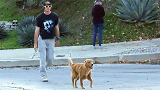 Jacob Elordi is seen taking his dog for a walk in Los Angeles