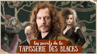 LES SECRETS DE LA TAPISSERIE DES BLACKS | Histoire de la magie n°6 | RAVENCLAU