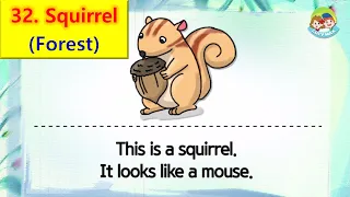 80 Animals | Unit 32 - Forest | Squirrel