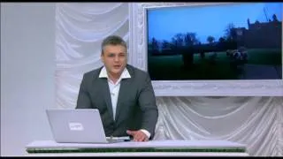 Мини СВИНКИ. Зверские новости Xayc.TV №16