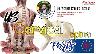 CERVICAL FACET JOINT AND MEDIAL BRANCH INJECTION (WORKSHOP WCRA PARIS 2023)