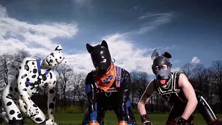 Secret Life of the Human Pups sheds light on men who dress as dogs