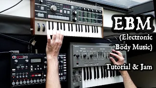 EBM (Electronic Body Music) Tutorial and Performance: Elektron Analog Four, Roland SH-101, MicroKorg