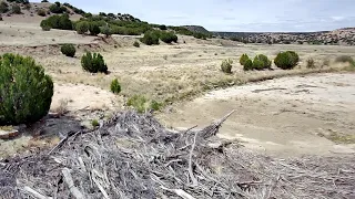 Commanche Grasslands - Raw Footage - Dinosaur Footprints !!