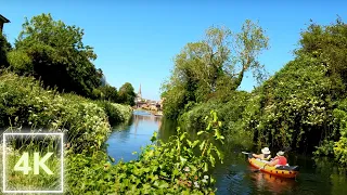 A walk in the meadow by the river 🐦Calm singing of birds - Holiday nature walk in 4K