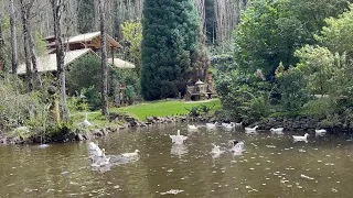 O JARDIM SECRETO DE URUBICI- ELE ABANDONOU A CIDADE PRA VIVER NO SÍTIO...