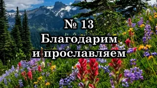 Благодарим и прославляем | Источник Хвалы № 13 | Караоке плюс | Христианские песни | Гимны надежды