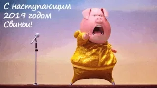 С  ГОДОМ  ЖЁЛТОЙ СВИНЬИ ! ( ЗАЖИГАЕМ ВМЕСТЕ СО МНОЙ - РЕБЯТА !!!! )