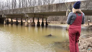 BRIDGE FISHING a HIGHWAY CREEK  for SLAB CRAPPIE!!!  (CATCH and COOK) Amazing Slabby Patties!