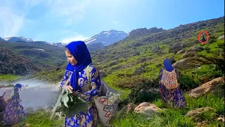 The adventure of a young nomadic woman to bring snow from the mountain top & pick medicinal plants