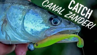 LURE FISHING FOR UK CANAL ZANDER: Catching UK canal Zander in the winter with Fox Rage Lures