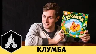 Лучшая российская семейная игра? Обзор и правила настольной игры Клумба.