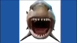 Shark Jumpscare