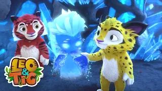 Leo & Tig - A Pequena Frieza e mais episódios completos | Desenhos infantil 🐯🦁