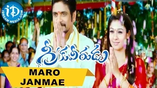 Greeku Veerudu Movie Songs - Maro Janmae Video Song || Nagarjuna, Nayanatara || S Thaman