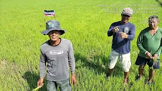 Demo result trials SALVADOR 200 OD RICE HERBICIDE