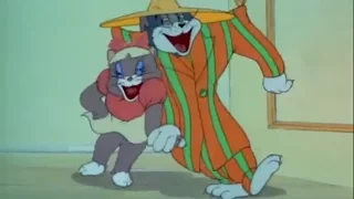 Tom and Jerry Classic Collection Episode 013   Zoot Cat 1944