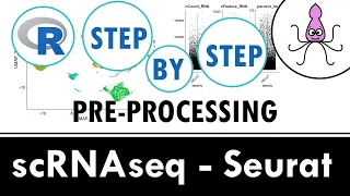 Standard scRNAseq preprocessing workflow with Seurat | Beginner R