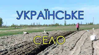 Переїхали з міста у село.