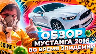 Обзор Форд Мустанг 2.3 Турбо 2016 Года из США. Заказ Машин из Америки!