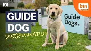 International Guide Dog Day: Guide Dogs And Their Handlers Are Facing Discrimination