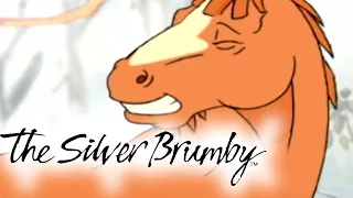 The Silver Brumby | Episodes 16-20 2 HOUR COMPILATION (HD - Full Episode)