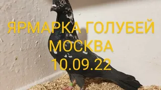 Москва 10 09 22. ЯРМАРКА ГОЛУБЕЙ