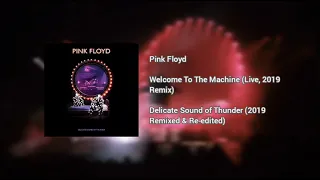 Pink Floyd - Welcome To The Machine (Live, Delicate Sound of Thunder) - [2019 Remix]