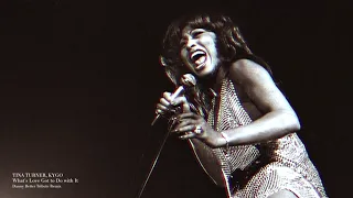 TINA TURNER - What's Love Got to Do with It (Danny Better Tribute Remix)