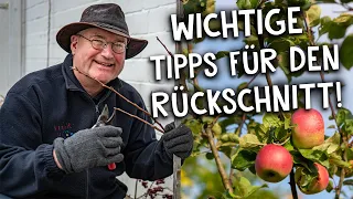 Apfelbaum richtig schneiden ✂️- Tipps und Tricks für einen sauberen Rückschnitt