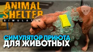 Animal Shelter Simulator прохождение и обзор демо 🅥 Симулятор приюта для животных