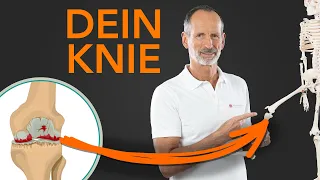 Dein KNIE – DAS solltest du wissen, wenn du Knieschmerzen hast!