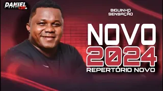BIGUINHO SENSAÇÃO 2024 REPERTÓRIO NOVO