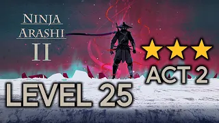 Ninja Arashi 2 Act 2 Level 25 Full Gameplay (3 Stars)