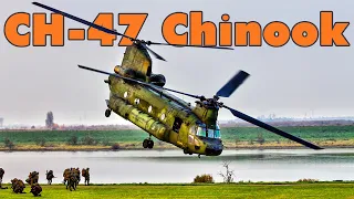 The CH-47 Chinook: A Workhorse of Military Aviation