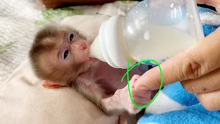 Newborn Baby DORN Get More Confident To Touch Mom's Finger While Drink Milk