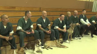 Program In Southern New Mexico Has Inmates Training Dogs