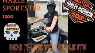 Harley Davidson Sportster Roadster 1200 Review
