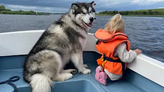 We Rented A Boat And These Two Love It!! Teddy Wanted To Jump In!