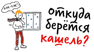 Откуда берётся КАШЕЛЬ? — Научпок