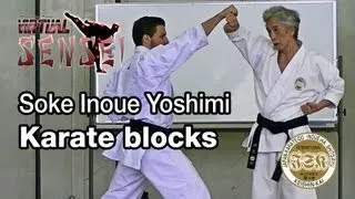 Soke Inoue Yoshimi teaching karate blocks - Summer Camp 2013